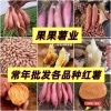 果果薯业的一亩田店铺