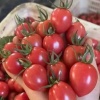 寿光市朱清海蔬菜购销处的一亩田店铺