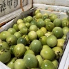 洪林果业的一亩田店铺