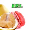 胡林的一亩田店铺