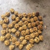 源启合作社的一亩田店铺