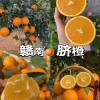朱晓英的一亩田店铺
