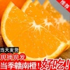 钟敏的一亩田店铺