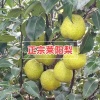 刘春林的一亩田店铺