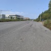 盛士伟的一亩田店铺