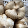 沈新瑞的一亩田店铺