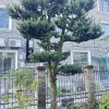 吴江的一亩田店铺