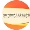 渭源丰斌中药材马铃薯的一亩田店铺
