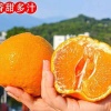 果开花农产品经营部的一亩田店铺