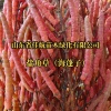 山东省佳航苗木绿化有限公司的一亩田店铺
