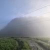 王福州的一亩田店铺