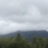 李福林的一亩田店铺