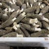 蒋光先的一亩田店铺