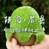 肖磊的一亩田店铺