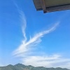 吴雨珊的一亩田店铺