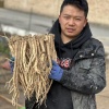 岷县乔二哥中药种植基地的一亩田店铺