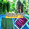 鸿运农产品的一亩田店铺