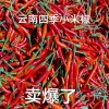 楚雄市大地基乡四季小米辣种植专业合作社的一亩田店铺