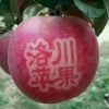 郭磊的一亩田店铺
