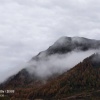 兴宇绿色粗粮加工有限公司的一亩田店铺