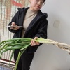 赵永锐的一亩田店铺