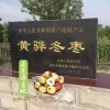 张富强的一亩田店铺