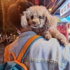 姜杰的一亩田店铺
