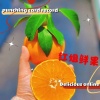 文艳红的一亩田店铺