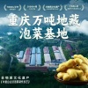 重庆七可食品有限公司的一亩田店铺