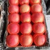 李科的一亩田店铺