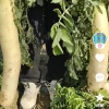 牛志璐的一亩田店铺