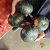 王琳的一亩田店铺