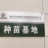 谷地康园中草药种植有限责任公司的一亩田店铺