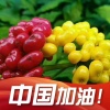 长白山人参姐的一亩田店铺