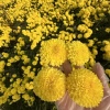 王小芳的一亩田店铺