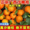 顺兴果蔬供应的一亩田店铺