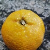 汤源保的一亩田店铺