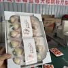 金氏果品购销的一亩田店铺