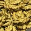 途浩果蔬购销的一亩田店铺