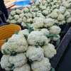 托托蔬果一分利代收代发的一亩田店铺