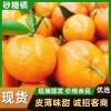 王晨的一亩田店铺