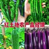 林卫的一亩田店铺