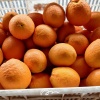 向靖的一亩田店铺