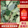 汪民强的一亩田店铺