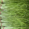 江西余氏水芹菜种植基地的一亩田店铺