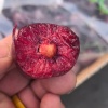 王润福的一亩田店铺