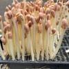 杭州天蔬蔬菜批发的一亩田店铺