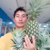 陈日开的一亩田店铺