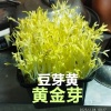 莫博峰的一亩田店铺