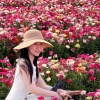 杨杨种球花卉的一亩田店铺
